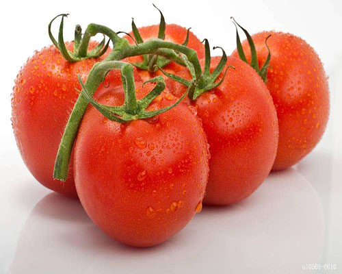 西红柿能不能减肥?吃西红柿的好处有哪些?